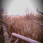 Dan Matzke - @danmatzken_hu_office_9o_7_tini - Instagram