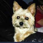 Daniel Matznick - @danmatznick - Instagram