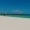 danmatz - @danpoit - TikTok