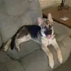 Dan Mazurek - @danmazurek - TikTok