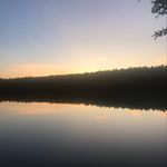 Dan McAllister - @dan_mcallister1 - Instagram