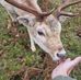 Dan McAllister - Facebook