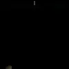 Dan - @danmcarthur59 - TikTok