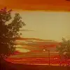 Daniel McCaig - @danielmccaig0 - TikTok
