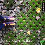 Dan McCall - @danmccall51 - Instagram