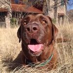 Dan McCarney - @dan.mccarney5 - Instagram