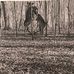 Dan McClary - Facebook