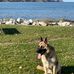 Dan Mccoy - Facebook
