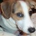 Dan Mccoy - Facebook