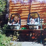Daniel Mccready - @danielmccready1 - Instagram