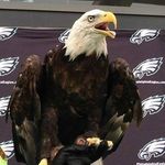 Dan Mcdermott - @dan.mcdermott.16 - Instagram