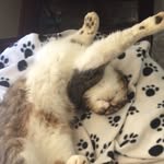 Daniel McDill - @danielm607 - Instagram