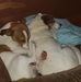 Dan Mceachern - Facebook