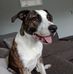 Danny Mcelligott - Facebook