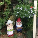 Danny Mcfaul - Facebook