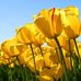 Daniel McGeachy - Facebook