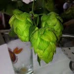 Dan McGeary - @sharpmountainbrewing - Instagram
