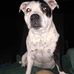 Dan McGinty - Facebook