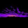 Danny Mcgonigle - @danny.mcgonigle - TikTok