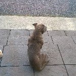 Danmcgrail - @danmcgrail78 - Instagram