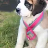 dannymcgranaghan - @dannymcgranaghan - TikTok