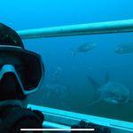 Danny McGreevy - @senor_mcgroovy - Instagram