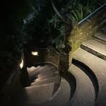 Daniel McGroarty - @danielgmcgroarty - Instagram