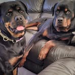 Daniel McGuffie - Facebook