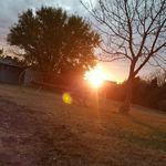 Dan McIntosh - @dan.mcintosh.3363 - Instagram
