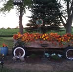 Dan Mckibben - Facebook