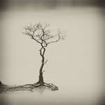 Dan McMaster - @mcmasterdano - Instagram
