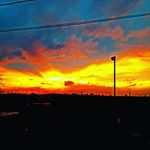 Dan Mcmillan - @i_dream_of_nature - Instagram