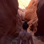 Dana McMorrow - @danamcmorrow - Instagram