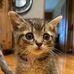 Dan McMullin - Facebook