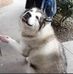 Dan McMurray - Facebook