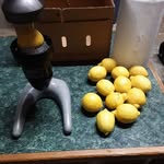 Dan McNew - @mcnewdan - Instagram