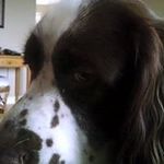 Dan McPeak - @mcpeakdan - Instagram