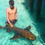 Dan Mcrae - @danmcrae_123 - Instagram