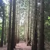 danmcveigh669 - @danmcveigh669 - TikTok