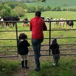 Dan Mcvicker - @mcvickerdan - Instagram