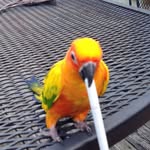 Dan Mcwhorter - @mcwhorter_dan - Instagram