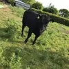 Danmeade3 - @danmeade3 - TikTok