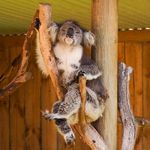 Daniel Meckes - @dan.meckes - Instagram