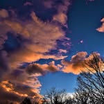 Dan meehan - @furrysphotos - Instagram