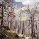 Andy Mefford - @meffordandy - Instagram