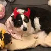 Meg_girl💕 - @danmeg - TikTok
