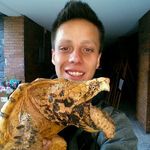 Daniel Mendez - @dan_mendez - Instagram