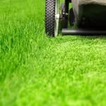 Dan Merkel - @dan_sav_lawncare - Instagram
