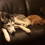 Dan Merry - @mezzo1970 - Instagram