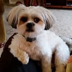 Dan Messerli - @danmesserli - Instagram